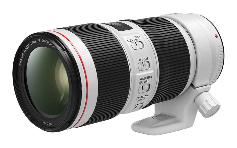 Support - EF70-200mm F4L IS II USM - Canon Singapore